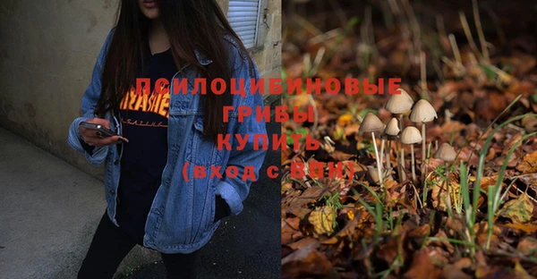 дурь Белокуриха
