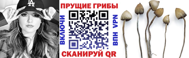 Галлюциногенные грибы Psilocybine cubensis  MEGA сайт  Беслан 