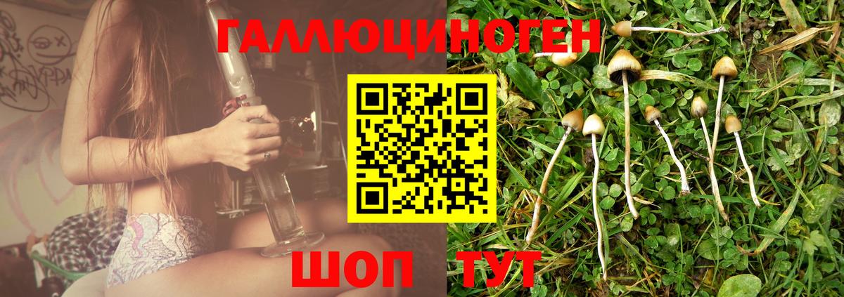 Беслан  Псилоцибиновые грибы MAGIC MUSHROOMS  Вход с VPN 